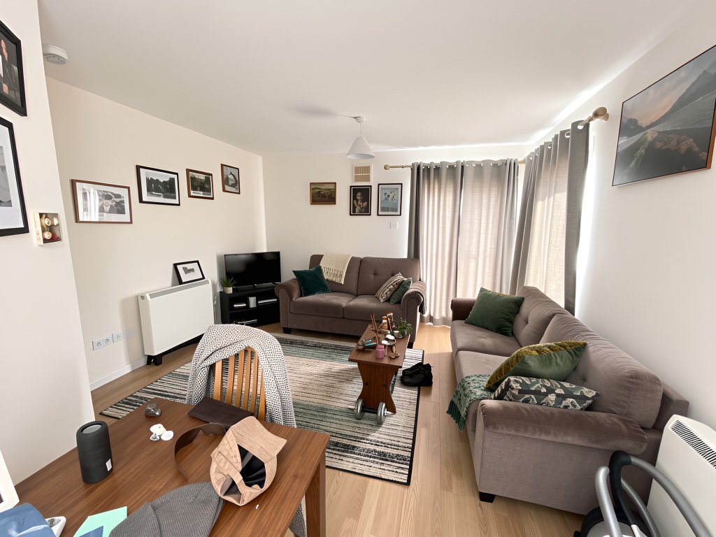 Minimalist Living room Before
