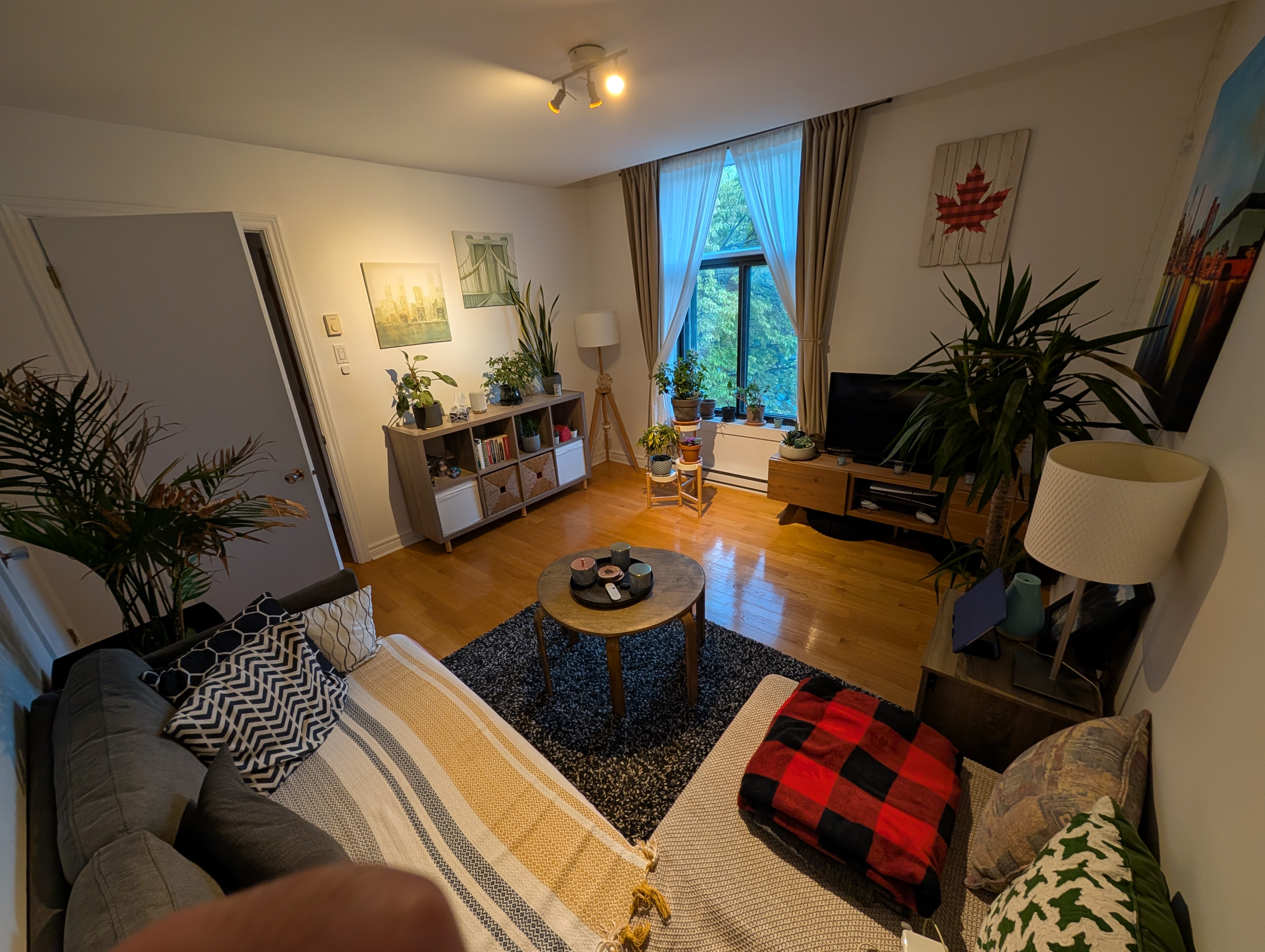 Modern Living room Before