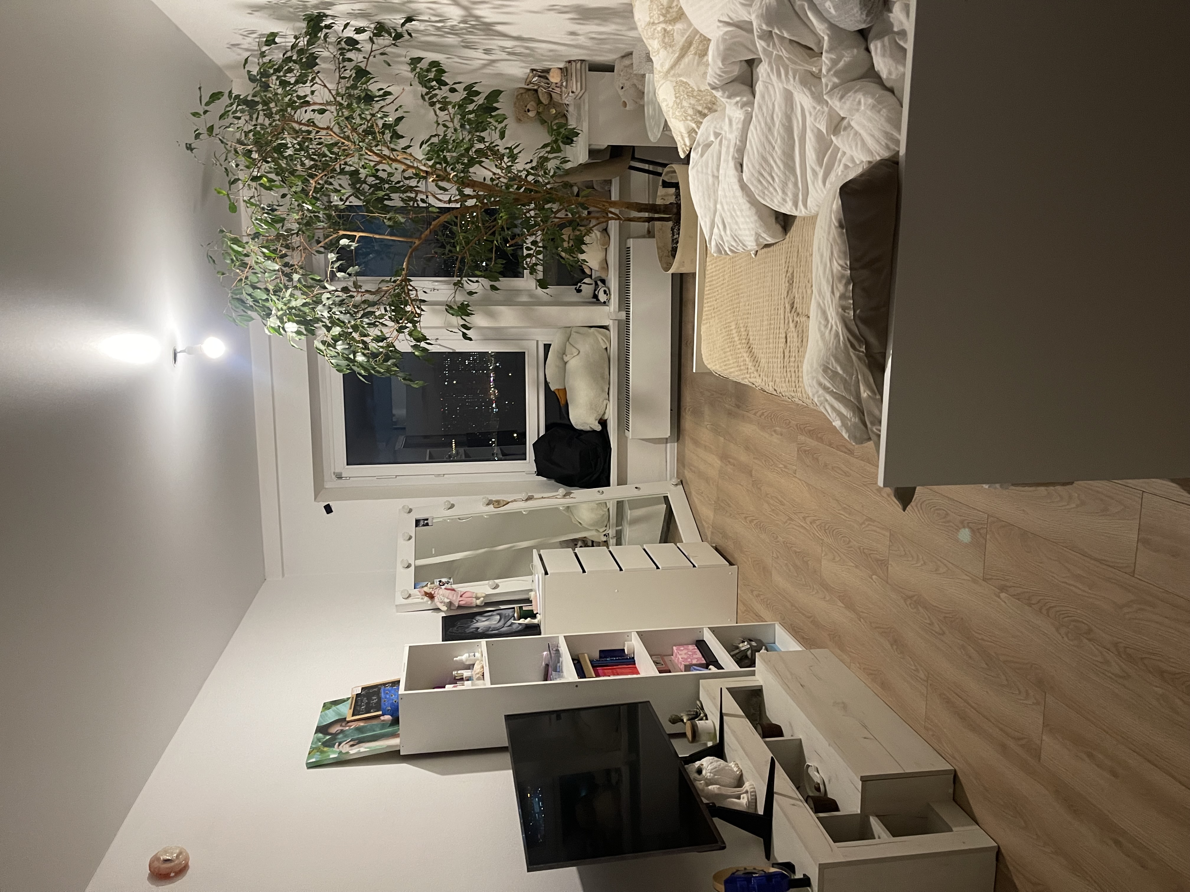 Modern Living room Before