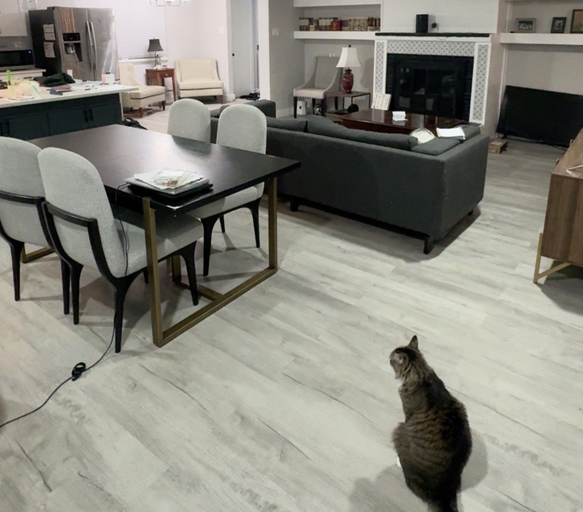 Modern Living room Before