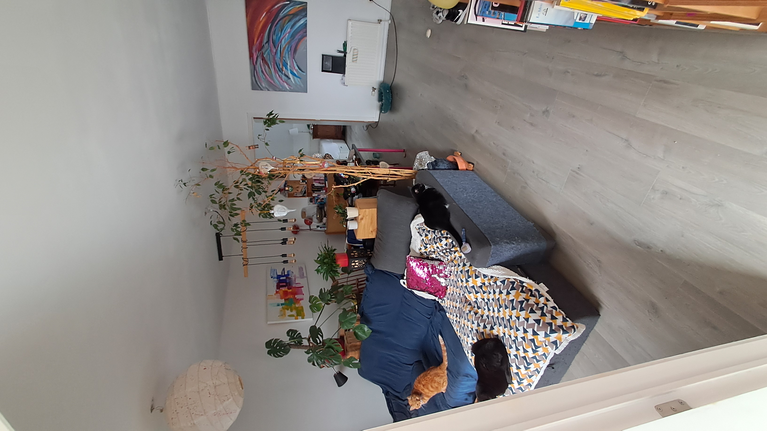 Modern Living room Before