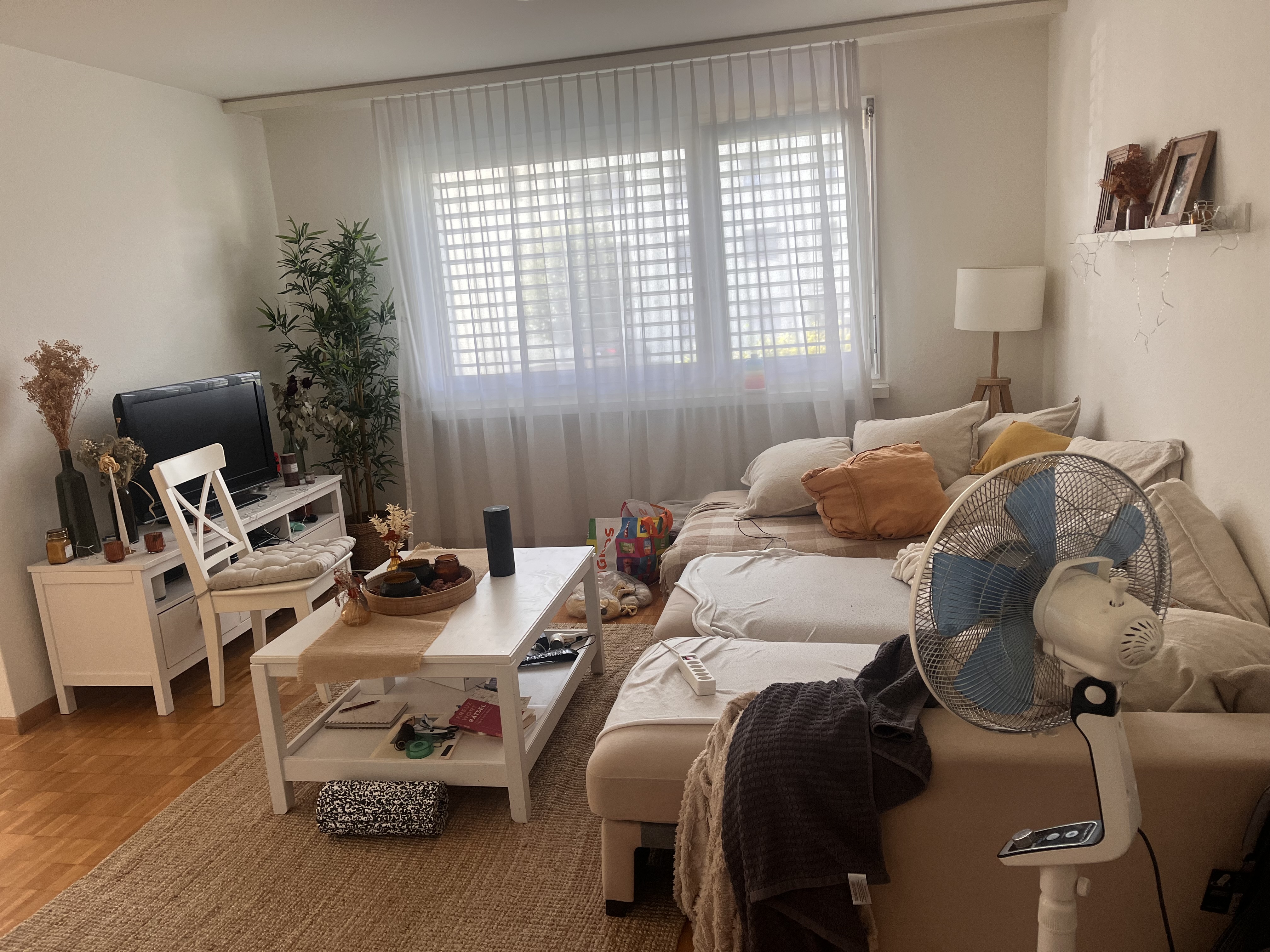 Modern Living room Before