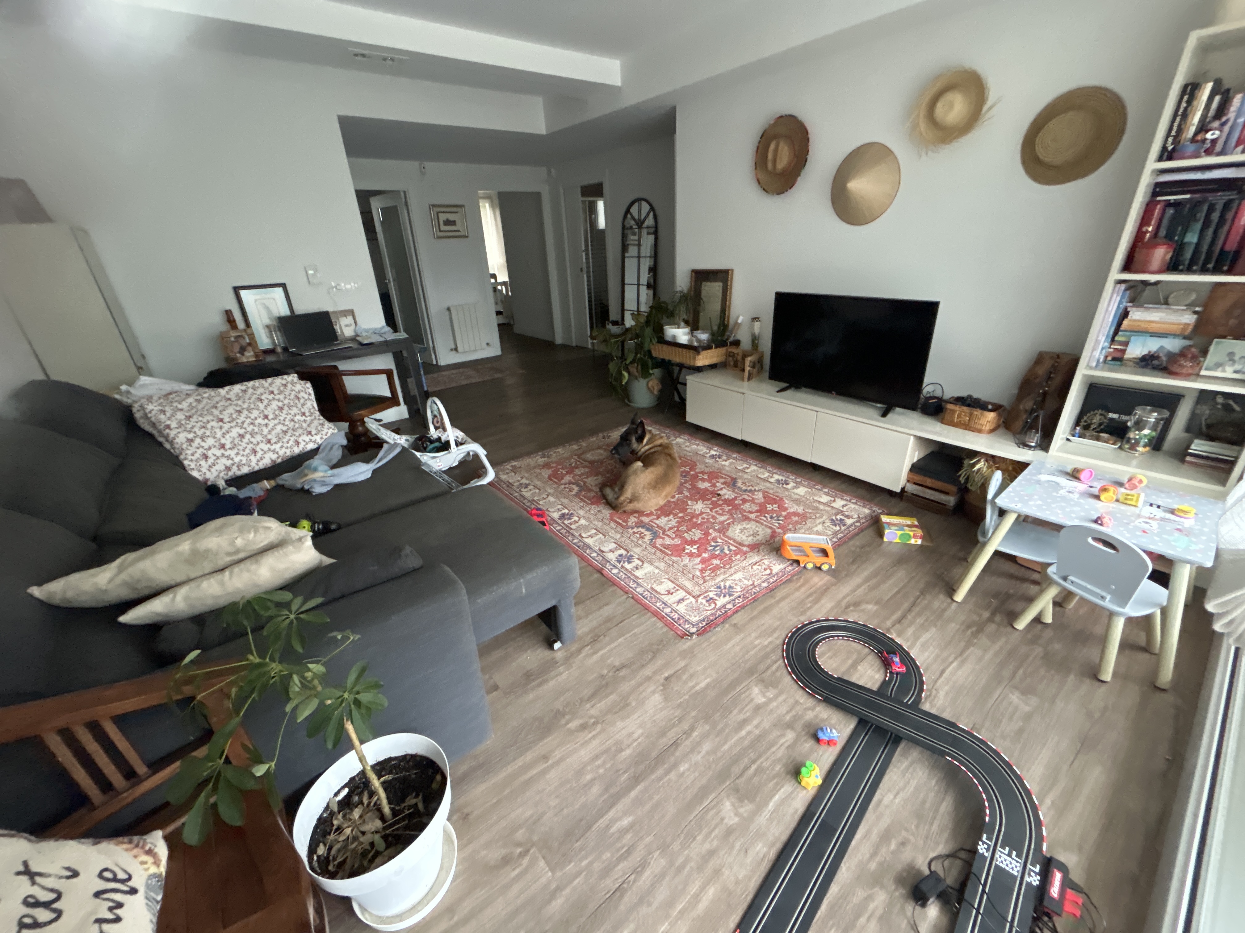 Modern Living room Before