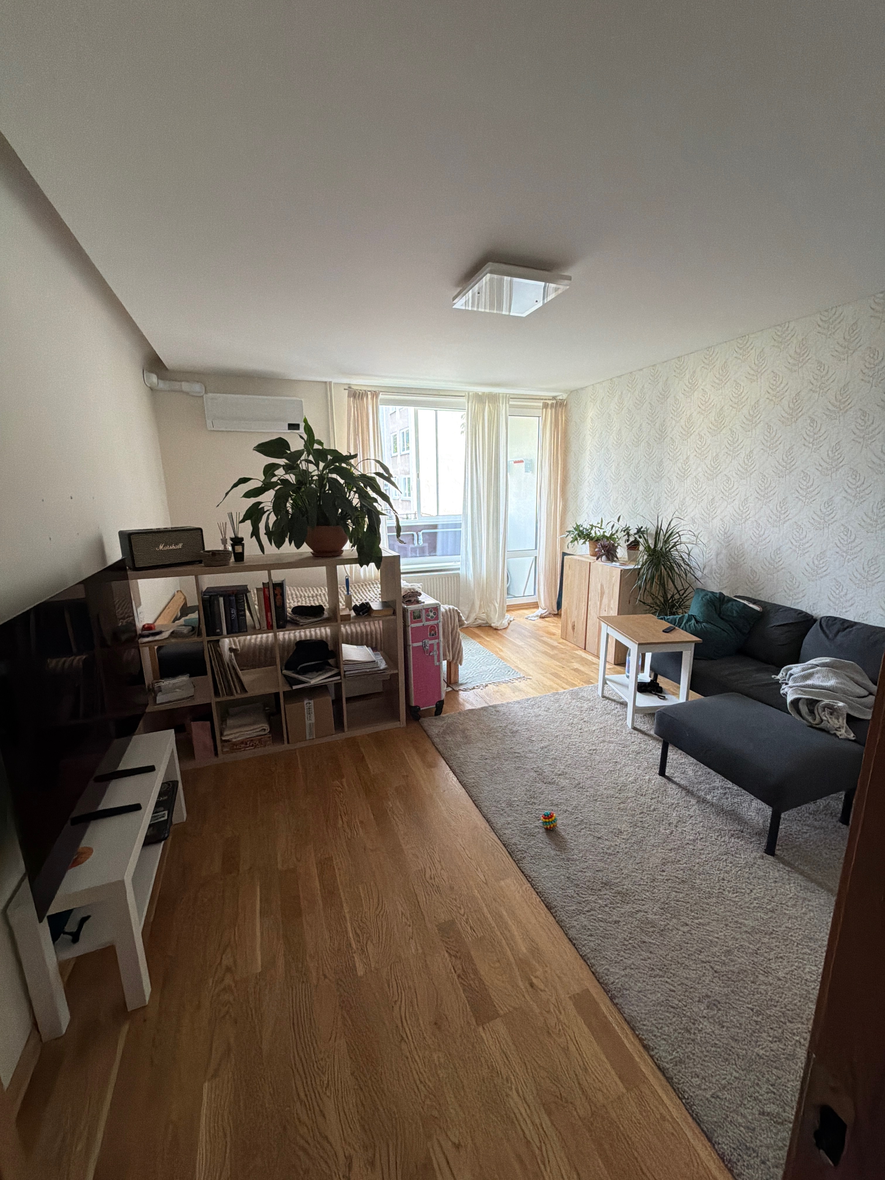 Modern Living room Before