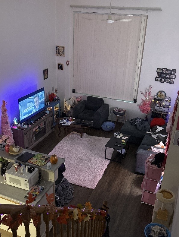 Modern Living room Before