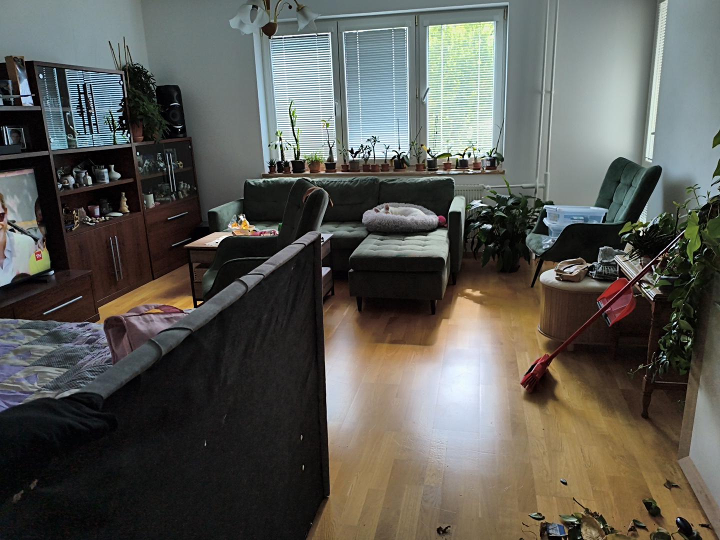 Before Living room