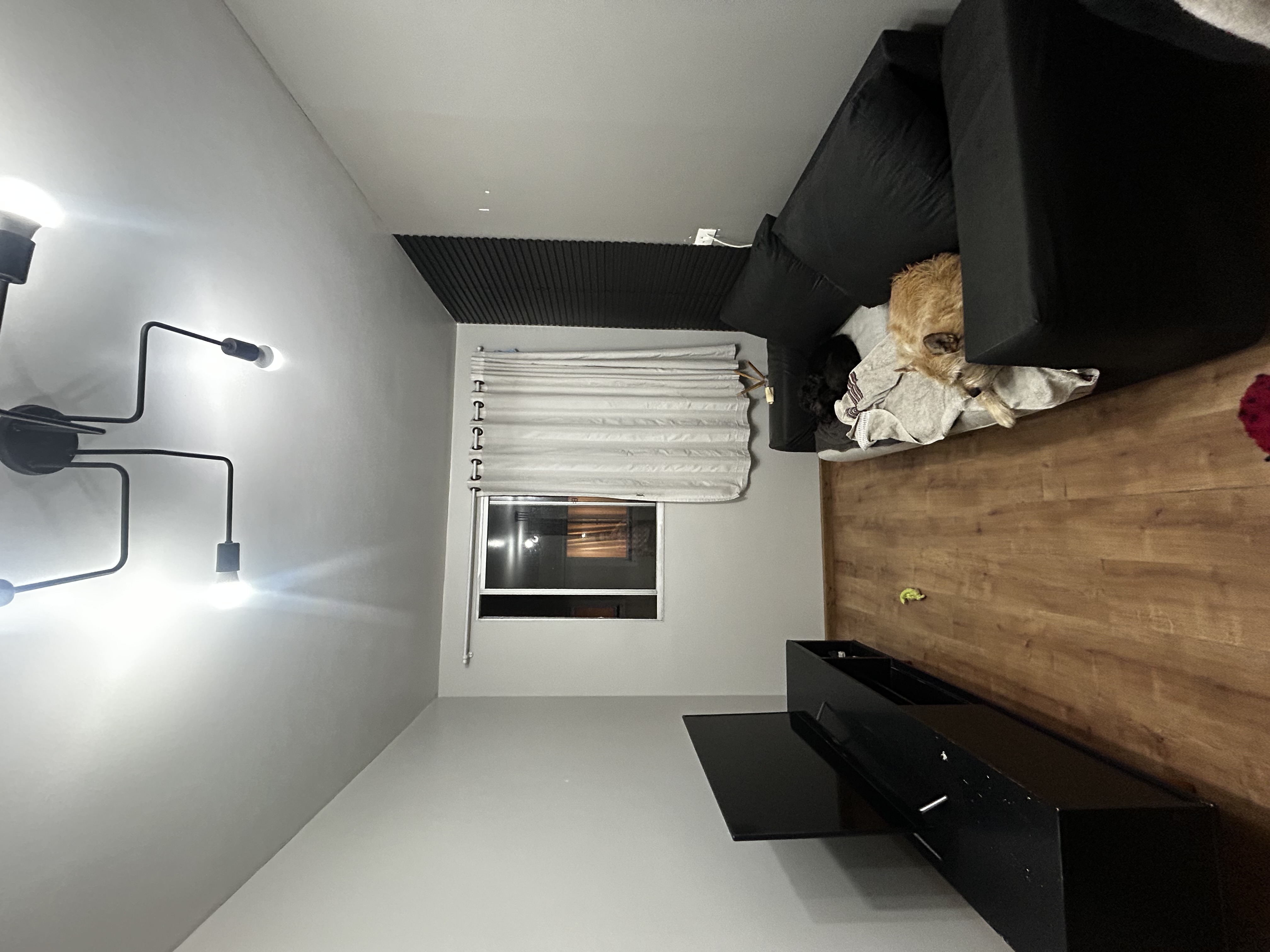 Modern Living room Before