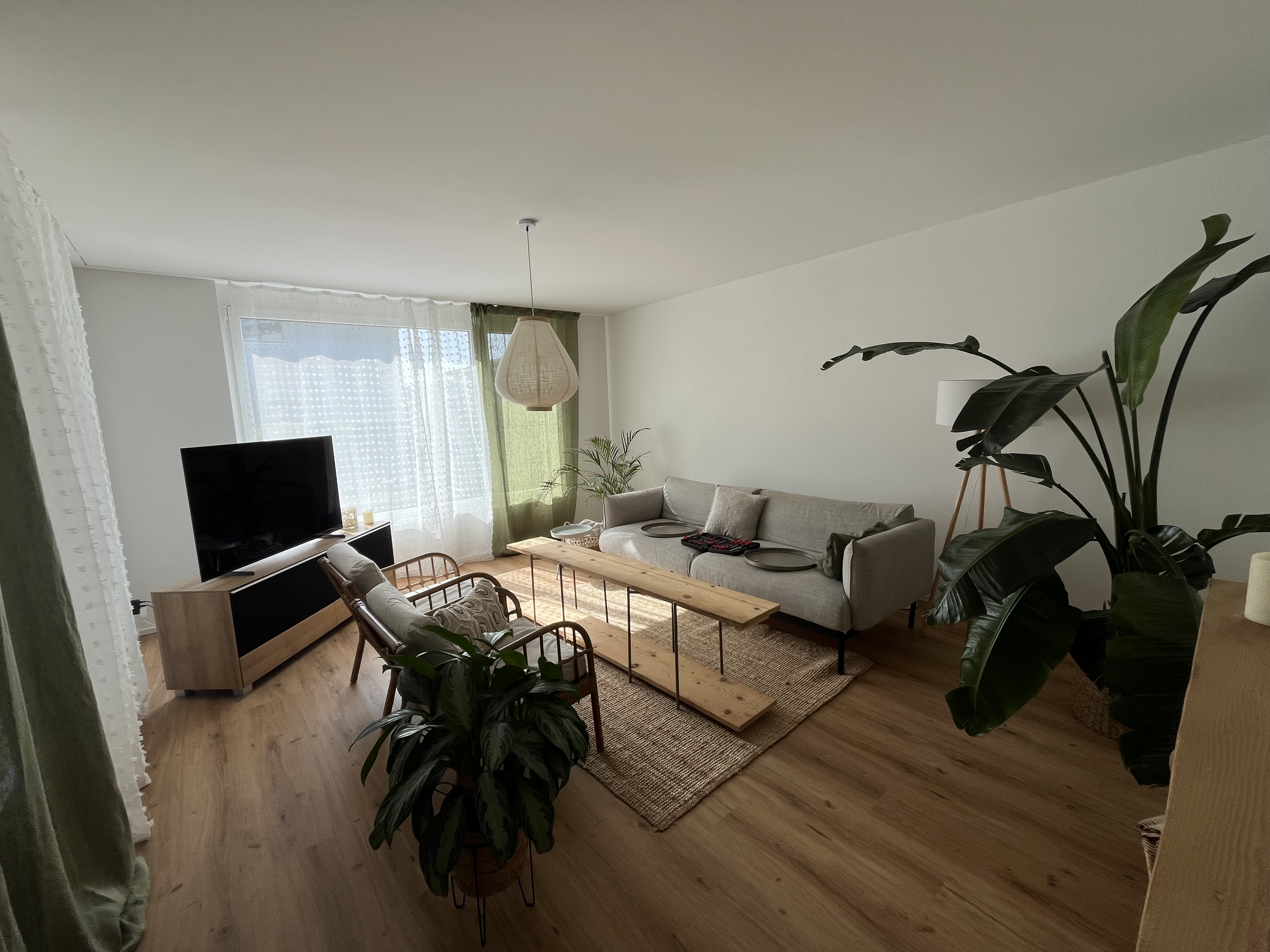 Modern Living room Before
