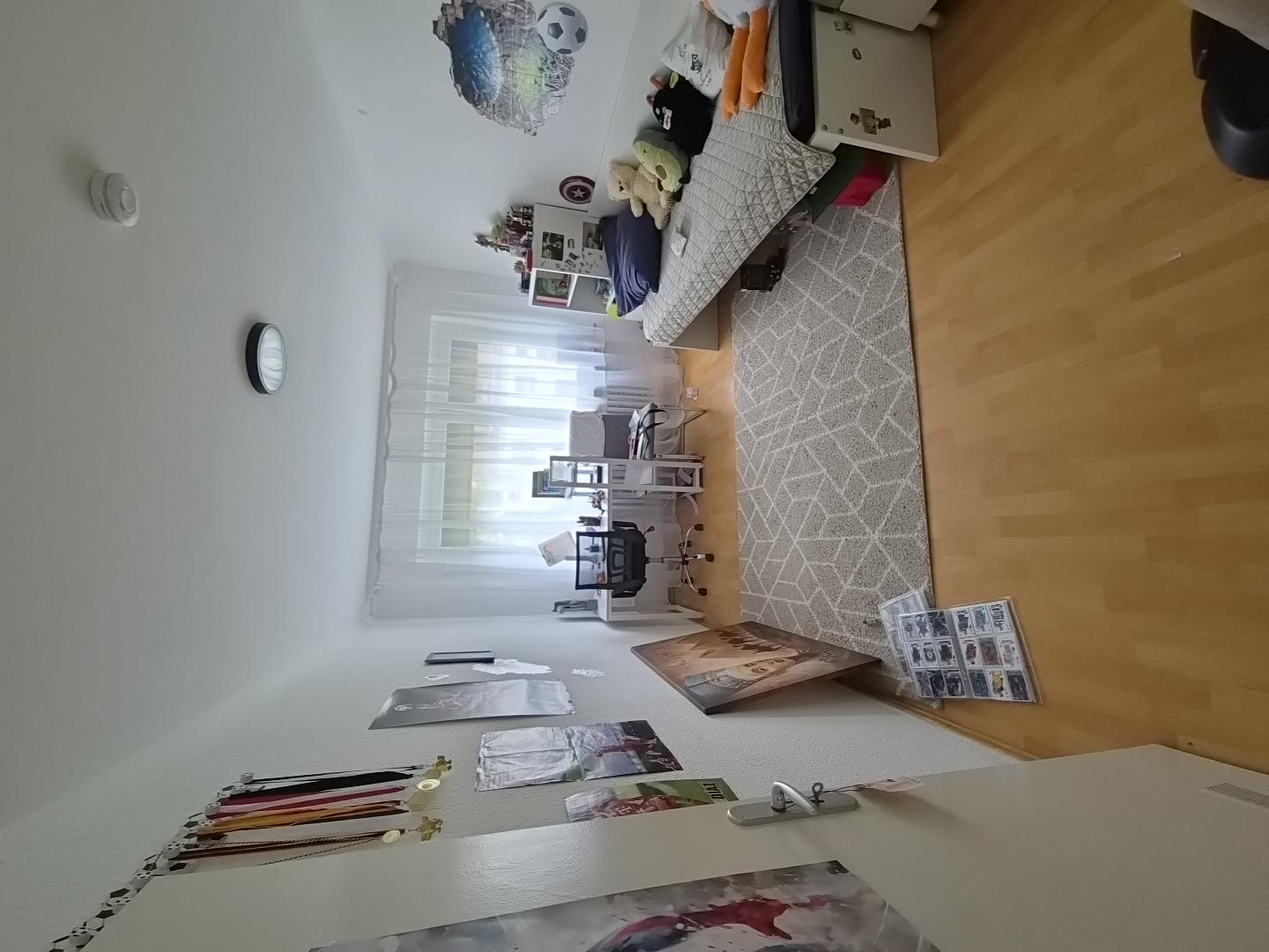 Scandinavian Living room Before