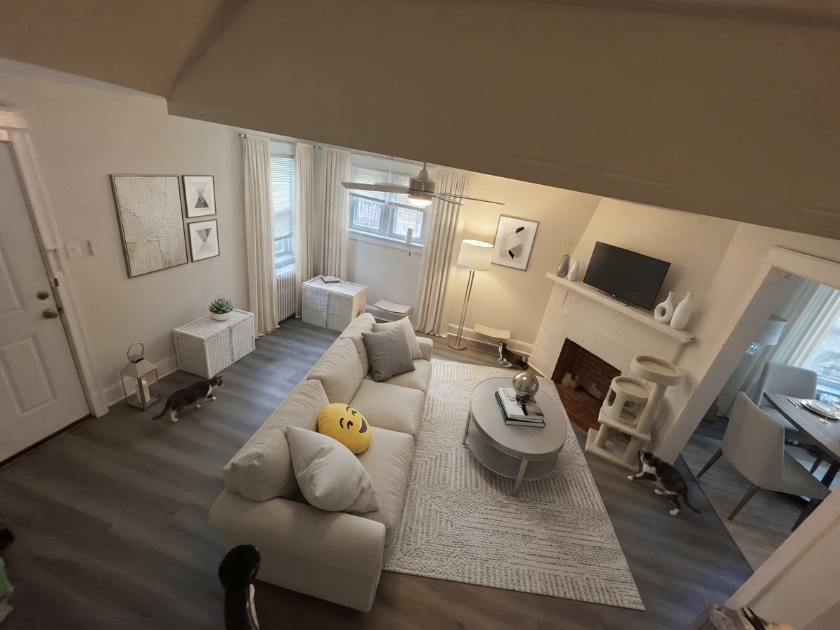 Modern Living room After