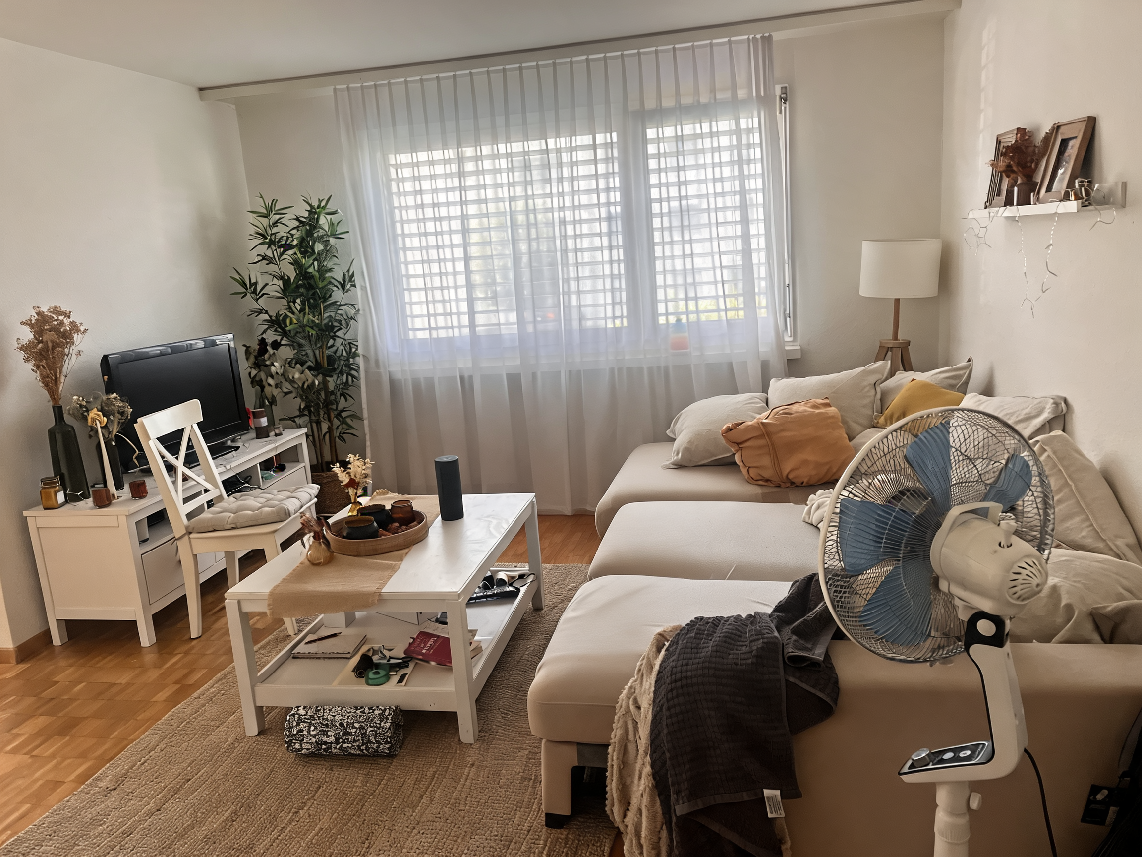 Modern Living room After